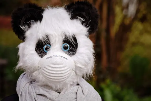 NoxWin Kaszinó Támogatás